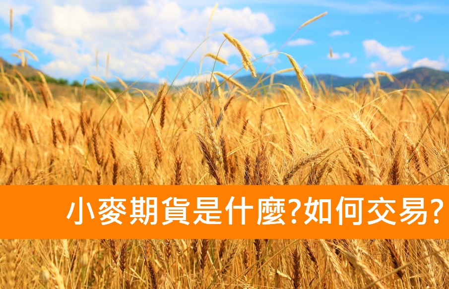 小麥期貨保證金/小麥期貨是什麼?